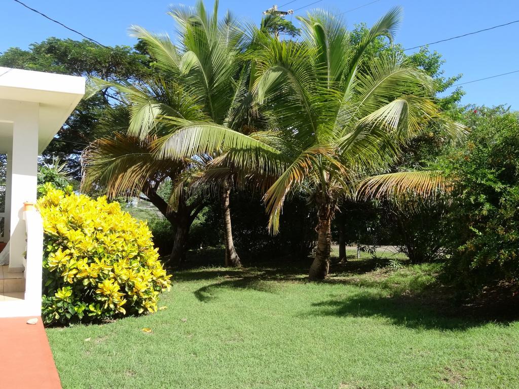 Tranquility By The Sea Villa Vieques Exteriör bild