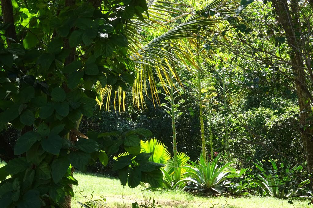 Tranquility By The Sea Villa Vieques Rum bild