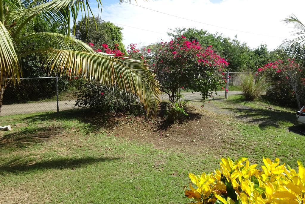 Tranquility By The Sea Villa Vieques Rum bild