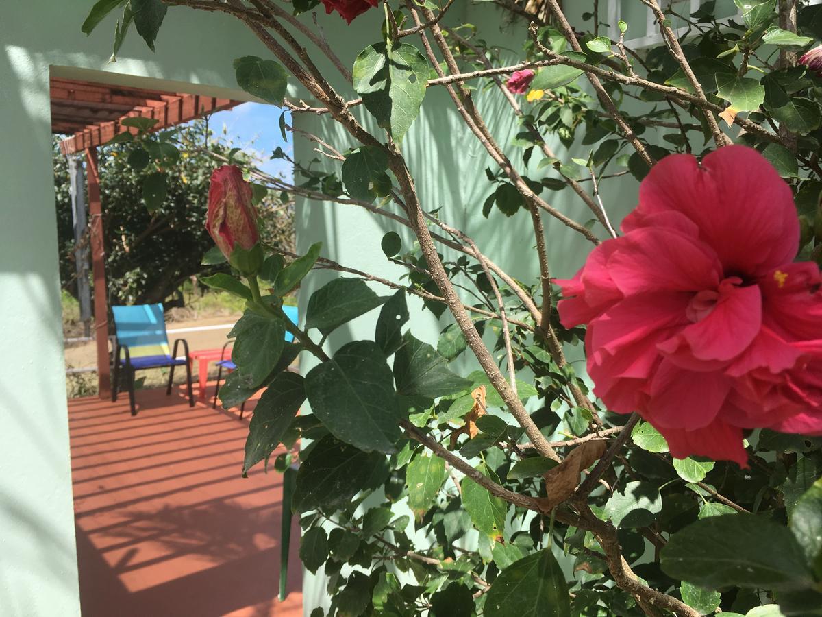 Tranquility By The Sea Villa Vieques Exteriör bild