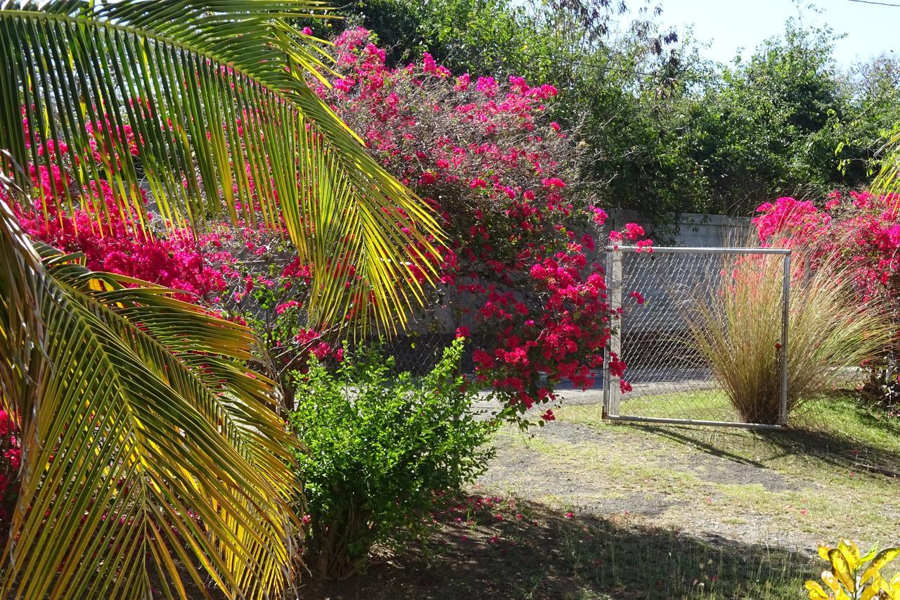 Tranquility By The Sea Villa Vieques Exteriör bild