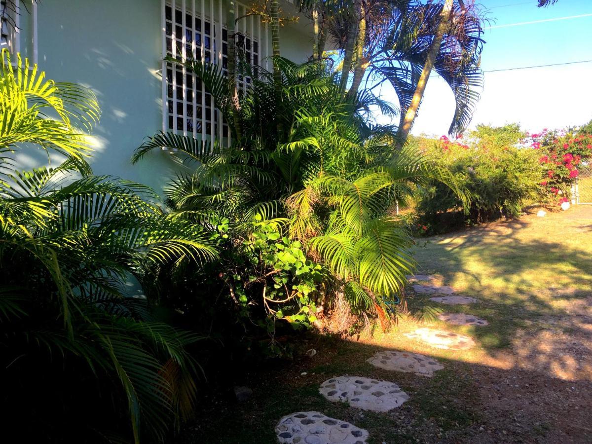 Tranquility By The Sea Villa Vieques Exteriör bild