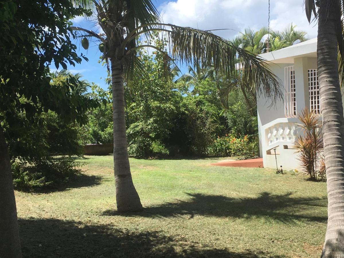 Tranquility By The Sea Villa Vieques Exteriör bild